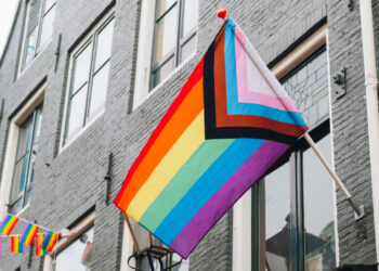 The rise of the woke bureaucracy