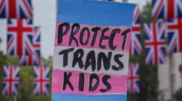 Why academia failed to challenge trans ideology