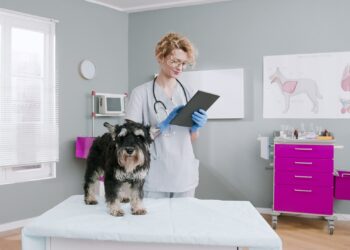 Denying services to gender-critical clients is unlawful, court rules