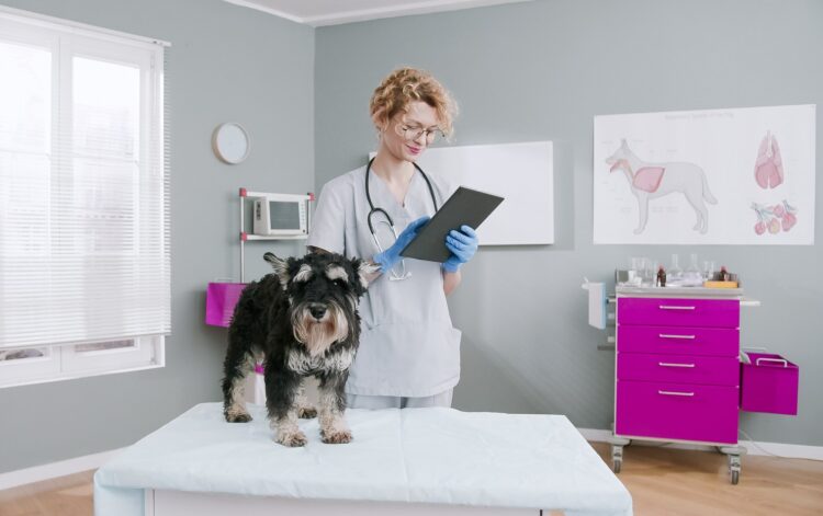 Denying services to gender-critical clients is unlawful, court rules